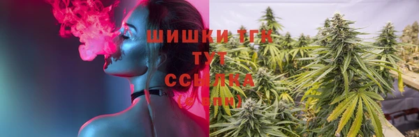 винт Куйбышев